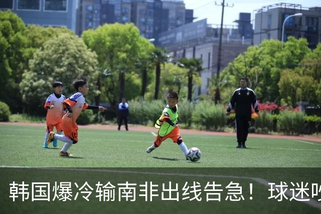 韩国爆冷输南非出线告急！球迷吵翻后竟把锅甩给中国男足，理由太离谱